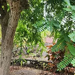 Lodge Oasis Hill Botanical Garden Icod De Los Vinos
