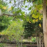 Lodge Oasis Hill Botanical Garden