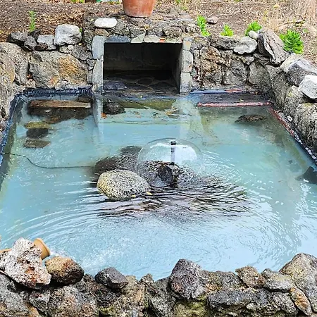 Oasis Hill Botanical Garden Lodge *