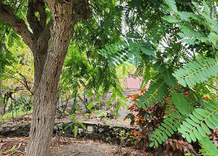 Lodge Oasis Hill Botanical Garden Icod De Los Vinos