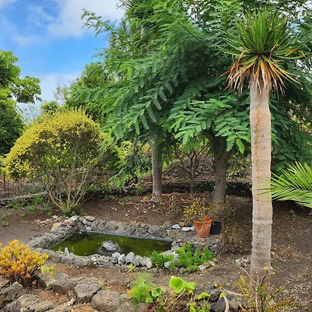 Orman Evi Oasis Hill Botanical Garden Icod De Los Vinos