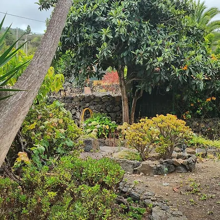 Oasis Hill Botanical Garden Orman Evi *