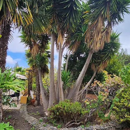 Oasis Hill Botanical Garden Orman Evi Icod De Los Vinos