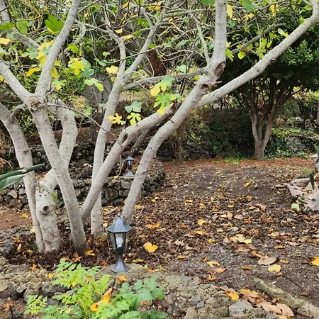 Oasis Hill Botanical Garden Orman Evi Icod De Los Vinos