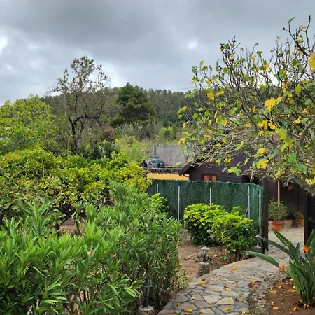 Orman Evi Oasis Hill Botanical Garden *