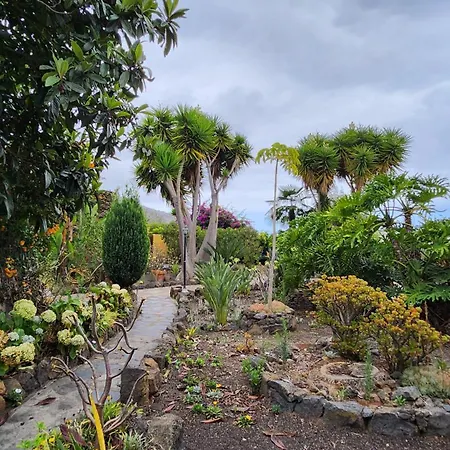 Oasis Hill Botanical Garden Orman Evi Icod De Los Vinos