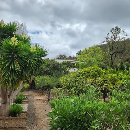 Oasis Hill Botanical Garden Icod De Los Vinos