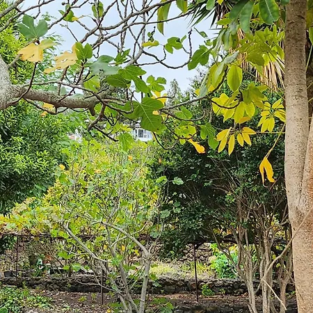 Orman Evi Oasis Hill Botanical Garden