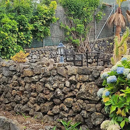 Orman Evi Oasis Hill Botanical Garden *