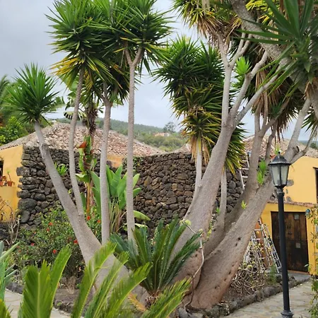 Oasis Hill Botanical Garden Orman Evi *