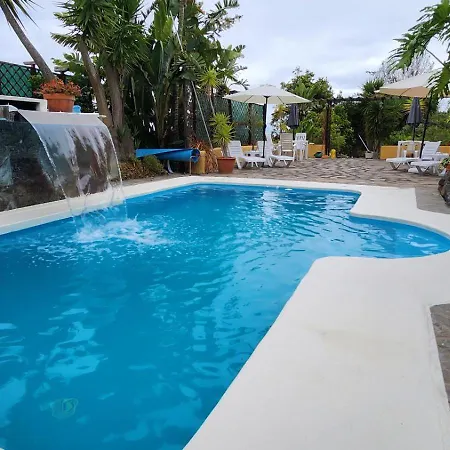 Oasis Hill Botanical Garden Icod De Los Vinos