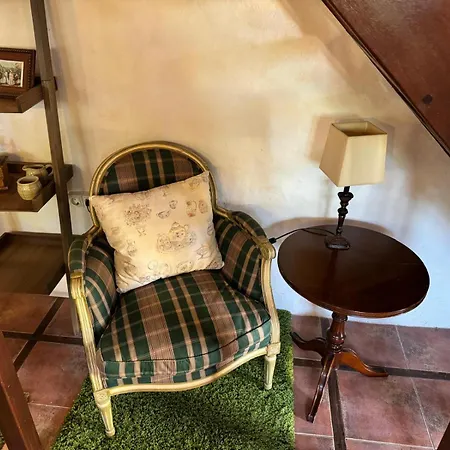 Orman Evi Oasis Hill Botanical Garden *