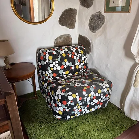 Orman Evi Oasis Hill Botanical Garden