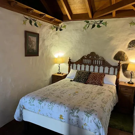 Oasis Hill Botanical Garden Orman Evi Icod De Los Vinos