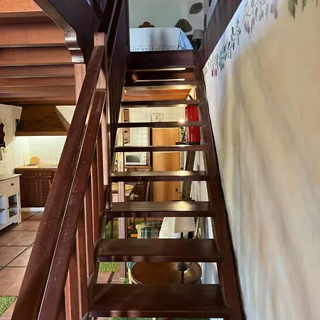 Orman Evi Oasis Hill Botanical Garden *