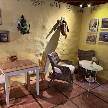 Orman Evi Oasis Hill Botanical Garden *