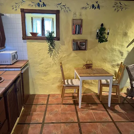 Oasis Hill Botanical Garden Orman Evi Icod De Los Vinos