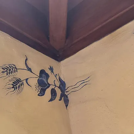 Oasis Hill Botanical Garden Orman Evi