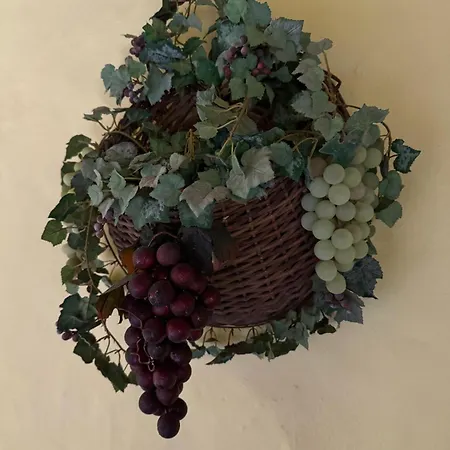 Oasis Hill Botanical Garden *