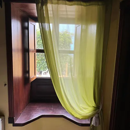 Oasis Hill Botanical Garden Orman Evi