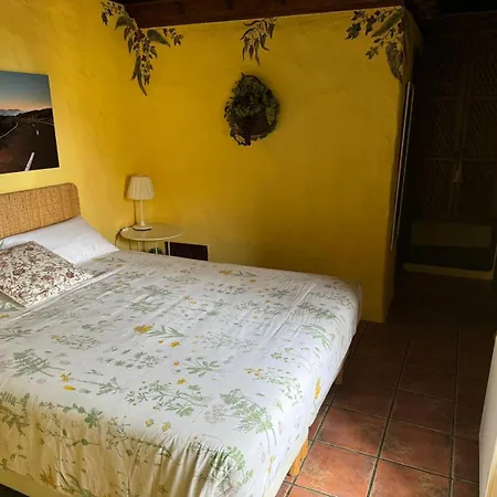 Oasis Hill Botanical Garden Orman Evi *