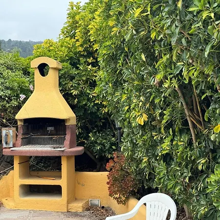 Oasis Hill Botanical Garden Orman Evi