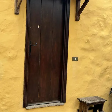 Orman Evi Oasis Hill Botanical Garden