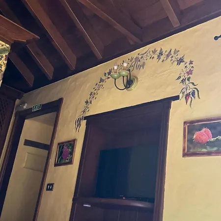 Orman Evi Oasis Hill Botanical Garden *