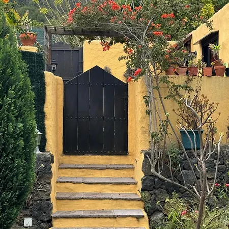 Oasis Hill Botanical Garden Orman Evi Icod De Los Vinos