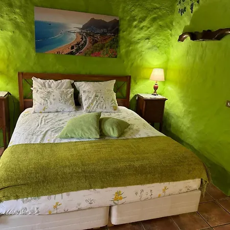 Orman Evi Oasis Hill Botanical Garden