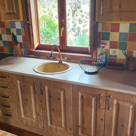 Oasis Hill Botanical Garden * Icod De Los Vinos