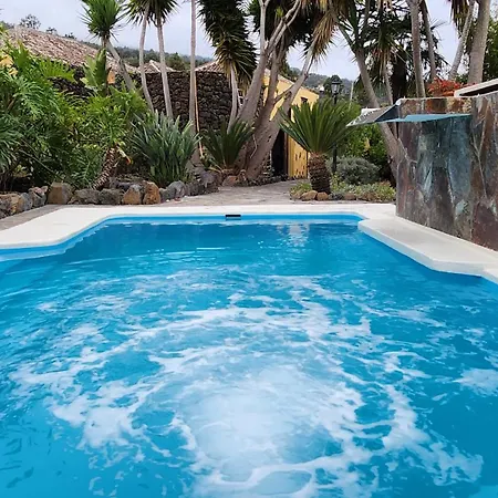 Oasis Hill Botanical Garden Orman Evi