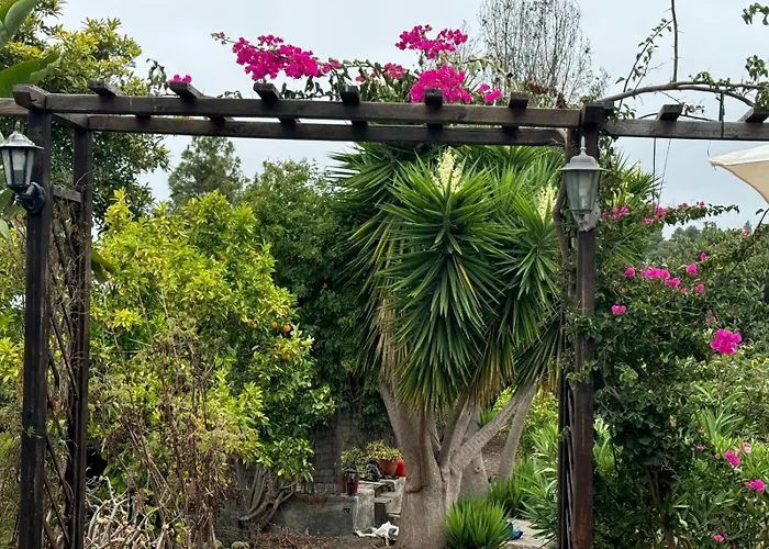 山林小屋 Oasis Hill Botanical Garden 伊科德·德·洛斯·维诺斯
