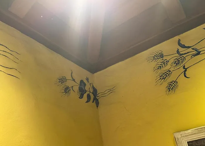 Oasis Hill Botanical Garden * 伊科德·德·洛斯·维诺斯